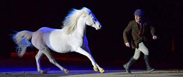 Spectacle Equestre Agenda