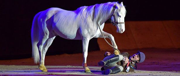 Spectacle Equestre Agenda