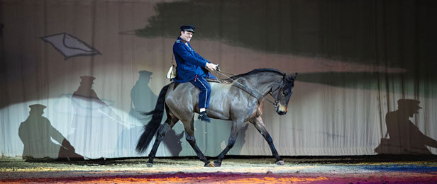 Spectacle Equestre Agenda