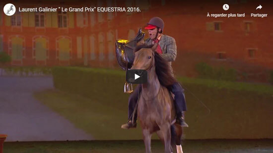 Spectacle equestre grand prix