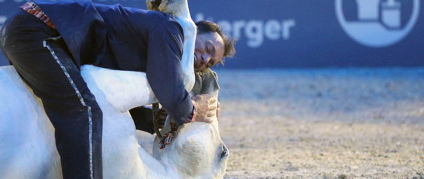 Spectacle-equestre