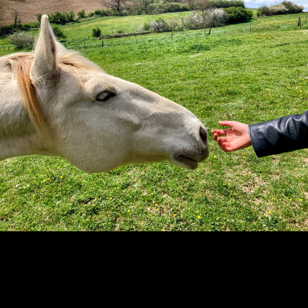 Stage Relation et liberté le 9 décembre 2025