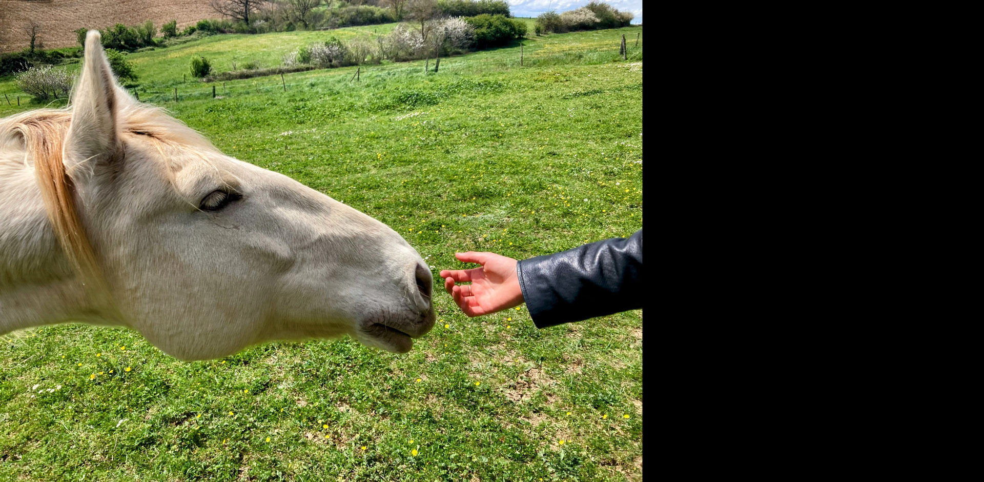 Stage Relation et liberté le 9 décembre 2025